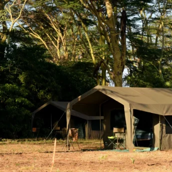meru wilderness camp kenya tent yellow zebra safaris