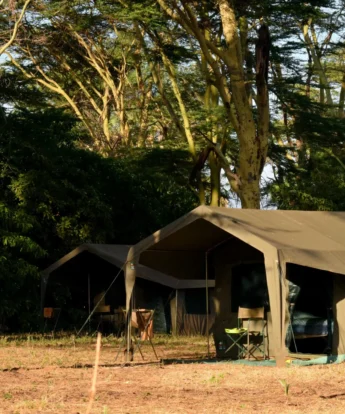 meru wilderness camp kenya tent yellow zebra safaris