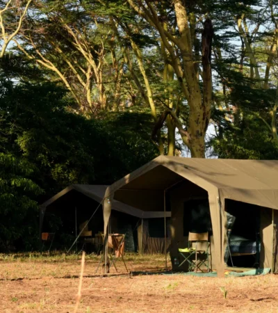 meru wilderness camp kenya tent yellow zebra safaris