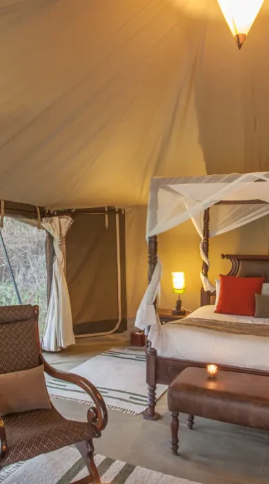Camp bedroom