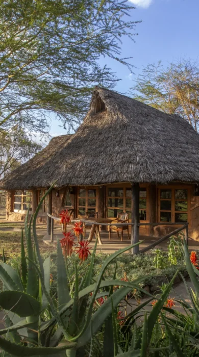 chui lodge kenya outside yellow zebra safaris