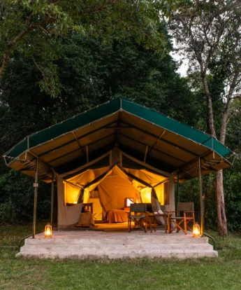 governors camp night exterior kenya yellow zebra safaris