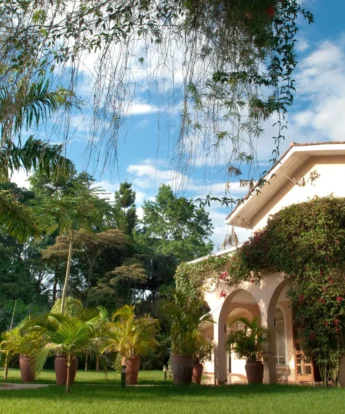 House ofWaine Garden