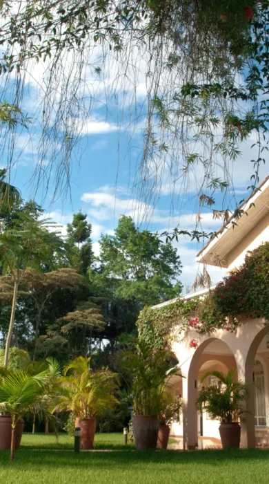 House ofWaine Garden