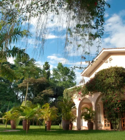 House ofWaine Garden