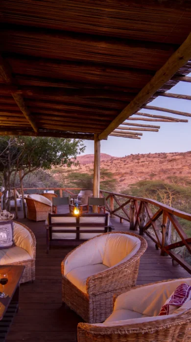 lewa wilderness balcony kenya yellow zebra safaris