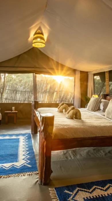Tent, Offbeat Mara Camp, Maasai Mara, Kenya