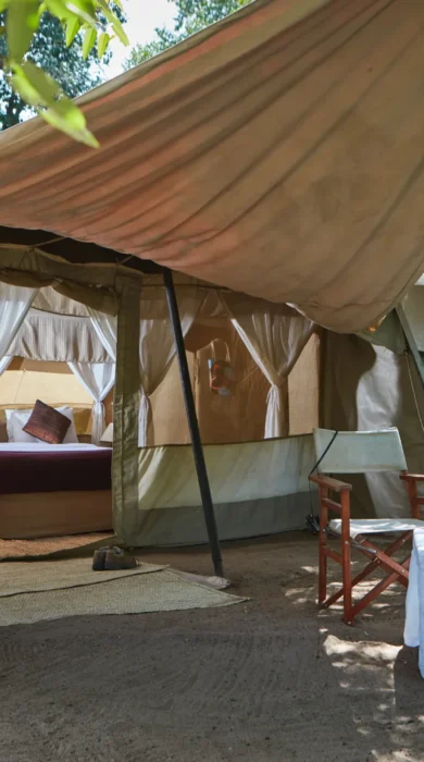 spekes camp tent area kenya yellow zebra safaris