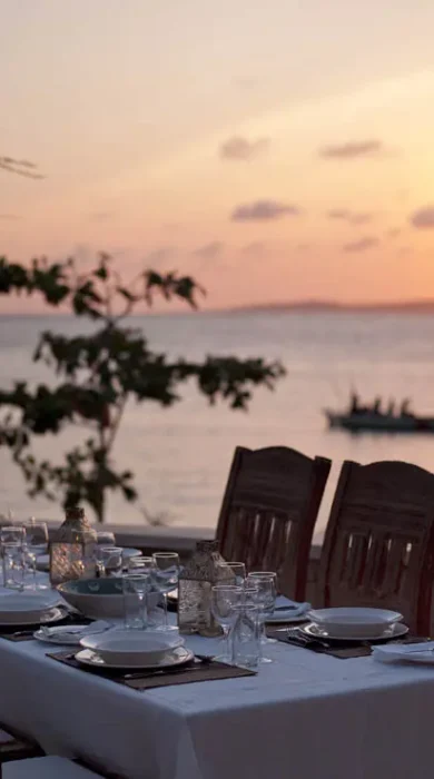 the majlis sunset dinner kenya yellow zebra safaris