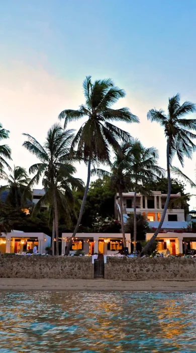 Palm Garden Wedding