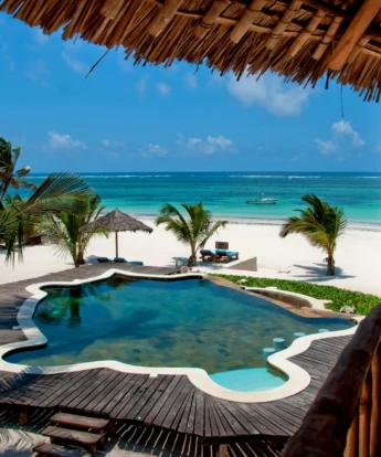 Turtle swimming pool Waterlovers Kenya