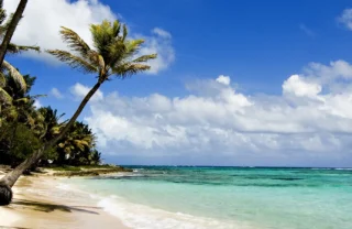Diani Beach, mombasa and diani safaris, kenya