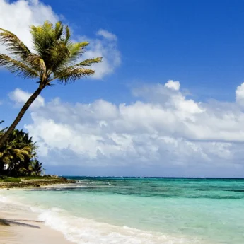 Diani Beach, mombasa and diani safaris, kenya