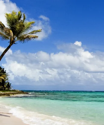 Diani Beach, mombasa and diani safaris, kenya