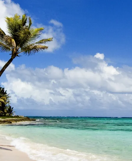 Diani Beach, mombasa and diani safaris, kenya