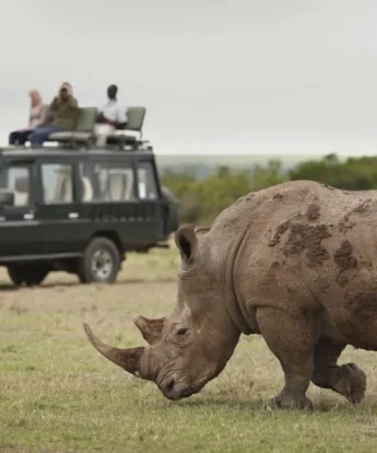 Rhino game drives in Laikipia, Kenya safaris