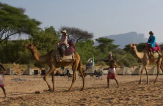 Camel safaris in Mathews range, Kenya holidays