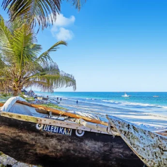 Boat pulled up onto the beach in front of a palm tree, AfroChic Diani Beach, Mombasa, Kenya - Yellow Zebra Safaris