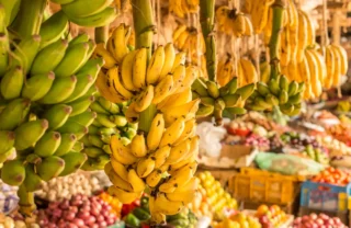 bananas, fruit stall, nairobi, kenya safari vacations