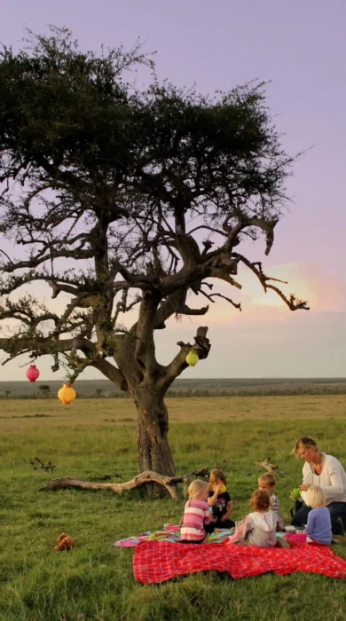 Kids Bush picnic family experience