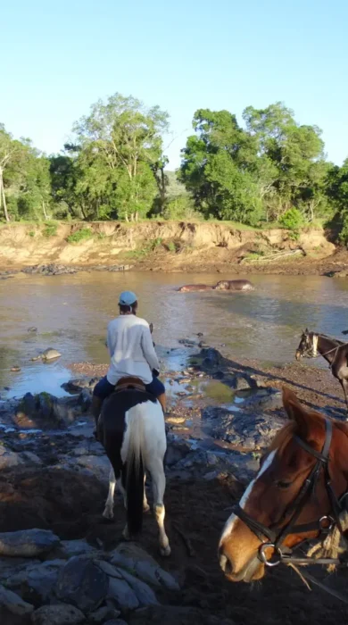 river crossing horseback yellow zebra safaris
