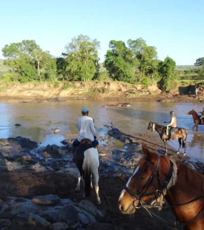 river crossing horseback yellow zebra safaris