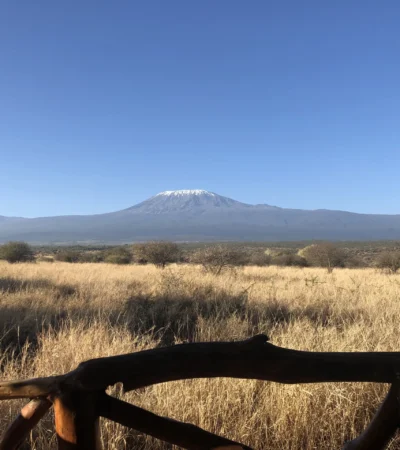 Satao 2 best views kenya yellow zebra safaris