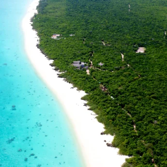 vamizi island, quirimbas beach, mozambique safaris