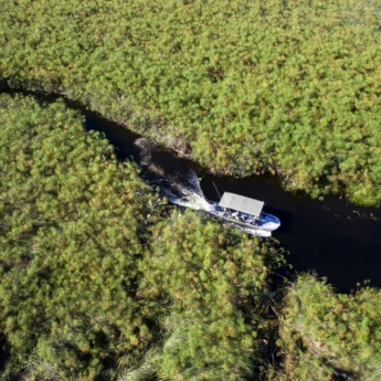 Boat cruise activity, &Beyond Nxabega Okavango Tented Camp, Botswana