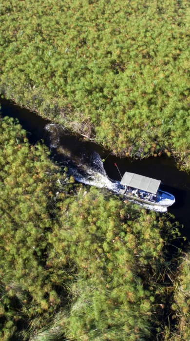 Boat cruise activity, &Beyond Nxabega Okavango Tented Camp, Botswana