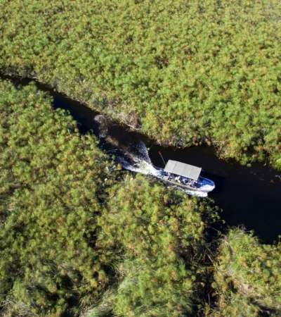 Boat cruise activity, &Beyond Nxabega Okavango Tented Camp, Botswana