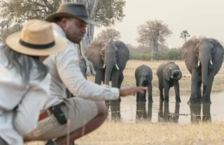 waterfalls and walking safaris, elephant herd