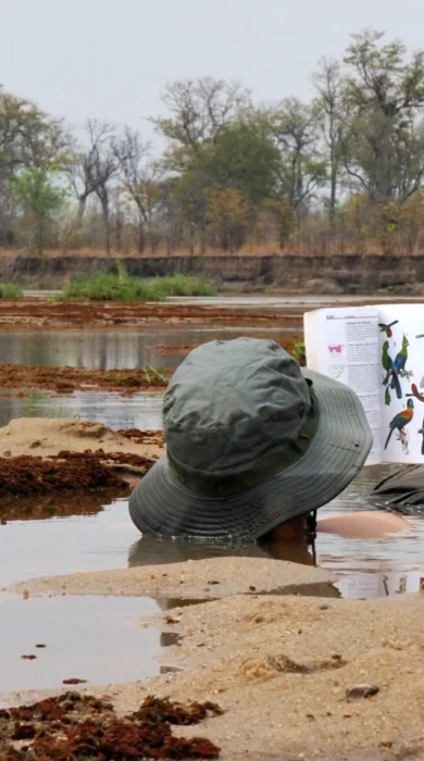 mud baths, north luangwa national park, zambia