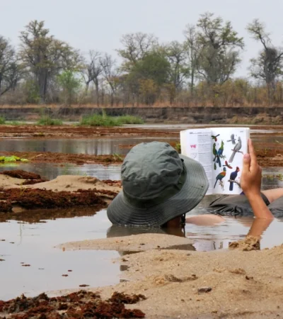 mud baths, north luangwa national park, zambia