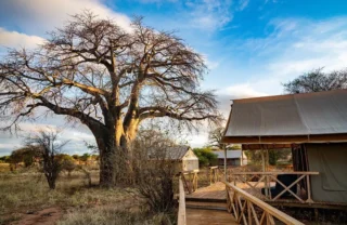 Ndovu camp view, Tarangire, Tanzania