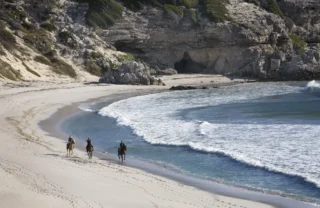 horse safaris, grootbos private nature reserve, south africa