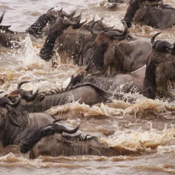 AWS July River crossing