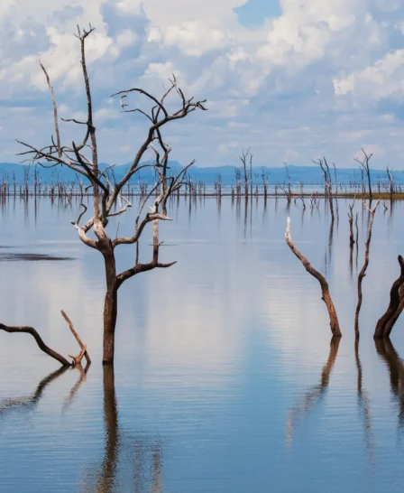 lake kariba, matusadona national park, zimbabwe