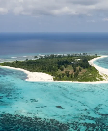 view of bird island, seychelles, africa safari destinations