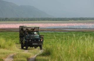 Game drive, Lake Manyara National Park, Tanzania