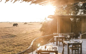 Deck set for mealtime in the foreground whilst an elephant walks in the background, Mombo, Moremi Game Reserve, Botswana - Yellow Zebra Safari