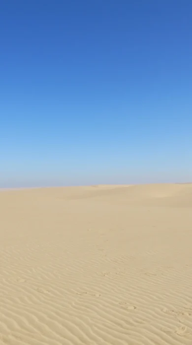 Namibia Game Drive