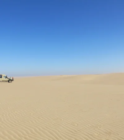 Namibia Game Drive