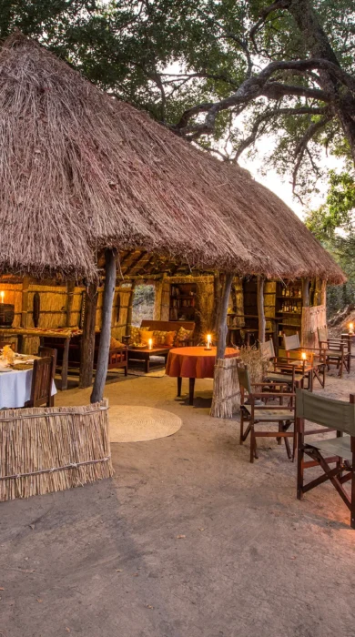 mwaleshi camp entrance zambia yellow zebra safaris