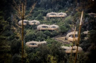 Exterior, Wilderness Bisate, Volcanoes NP, Rwanda