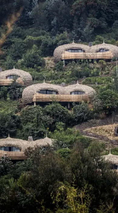 Exterior, Wilderness Bisate, Volcanoes NP, Rwanda