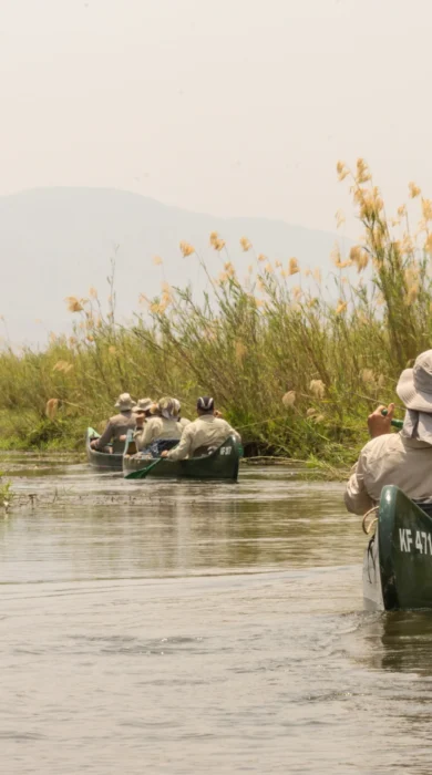 Canoeing in manna pools