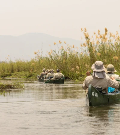 Canoeing in manna pools