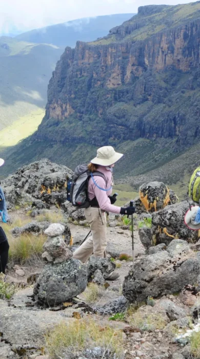 karisia walking safaris mount kenya walking yellow zebra safaris