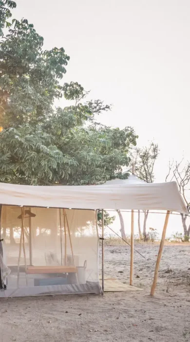 chula island camp sun rise zambia yellow zebra safaris